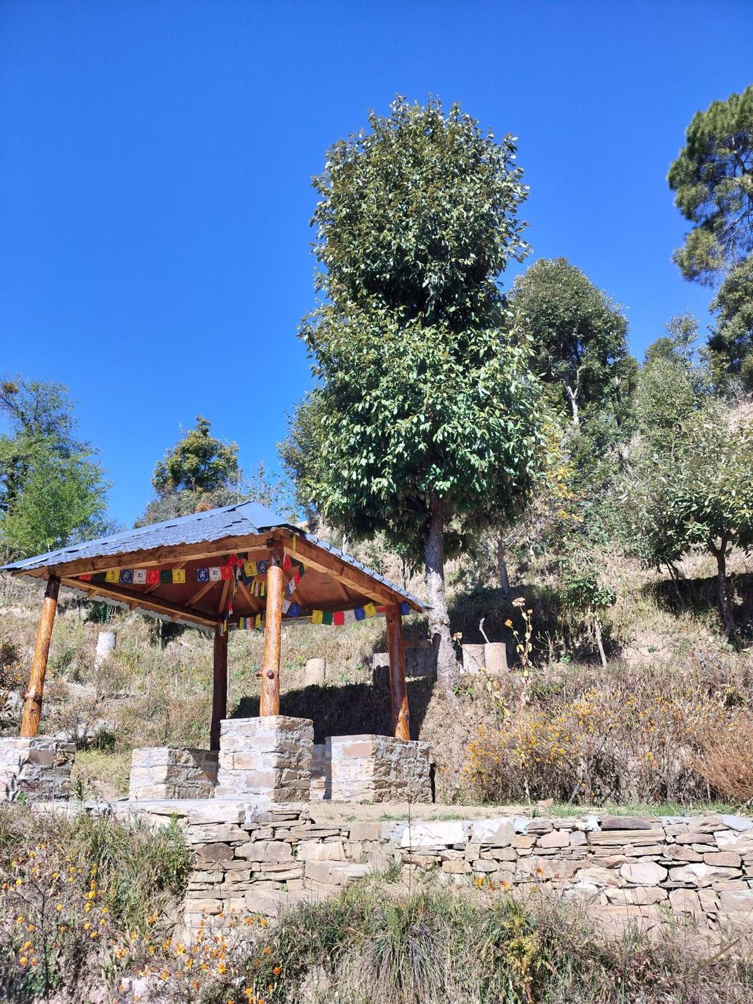 מוקטשוואר Francolin Lodge-Farmstay @ Darima מראה חיצוני תמונה